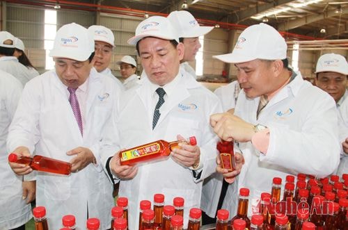 Lãnh đạo tỉnh đi tham quan nhà máy