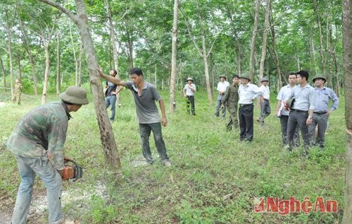 Lãnh đạo Thị xã Thái Hòa chỉ đạo bảo vệ thi công tuyến đường vào trung tâm xã Nghĩa Hòa