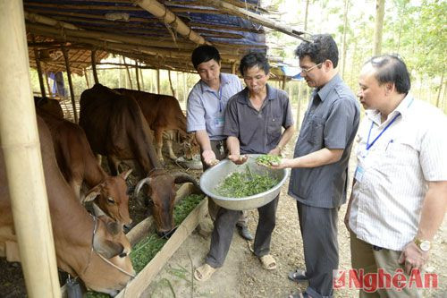 tỷ lệ hộ nghèo giảm từ 71,8% năm 2010 xuống còn 39,38%, bình quân hằng năm giảm 6,5%