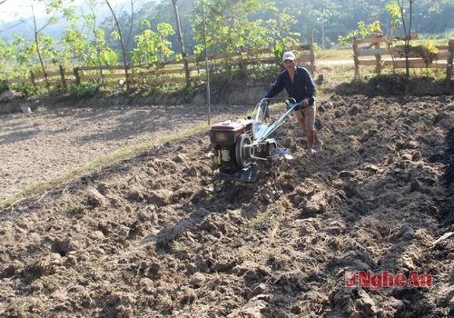 Bà con bản Mường - Châu Kim làm đất trông cây vụ đông