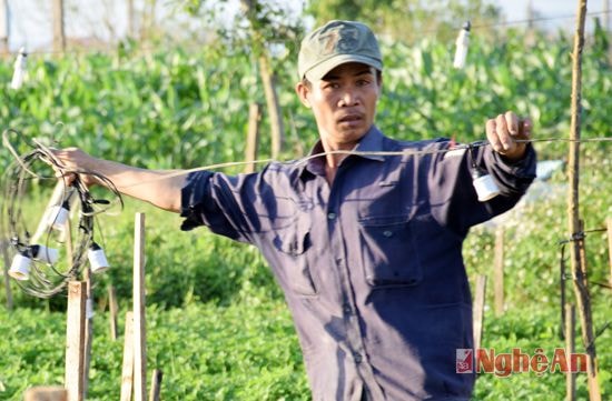 Anh An cho biết, ngần ấy diện tích phải sử dụng hàng nghìn mét dây điện và lắp khoảng 800 bóng đèn.