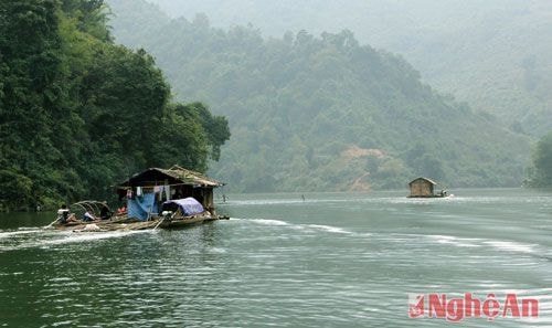 Các hộ nuôi cá lồng trên lòng hồ thủy điện Bản Vẽ (Tương Dương). Ảnh: Hồ Phương.