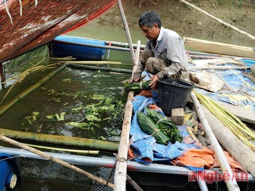 Chăm sóc cá lồng trên hồ thủy điện Khe Bố (Tương Dương). Ảnh: Phương Chi.