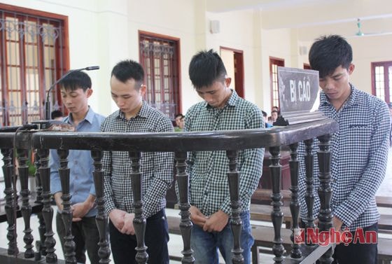 Các bị cáo tại tòa