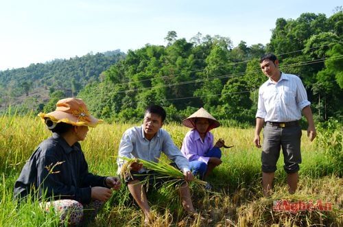 Các cán bộ trẻ xã Yên Na (Tương Dương) xuống đồng cùng với người dân bản Bón.