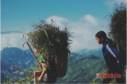 Cõng cả mây trời