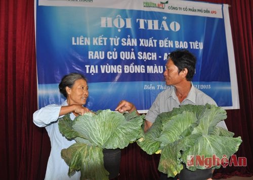 Ông Cao Bá Quý và bà Cao Thị Lan (xóm 10 - Diễn Thành) giới thiệu sản phẩm rau sạch theo tiêu chuẩn VietGap để bà con khác học tập. 