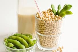 Chất Genistein có trong đậu nành có tác dụng chống lão hóa da