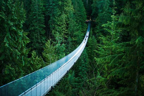Được xây dựng từ năm 1889, cầu treo Capilano dài 137 m và cao 70 m so với mặt sông Capilano ở Canada. Đây là một trong những điểm hút khách du lịch nhiều nhất của Vancouver.