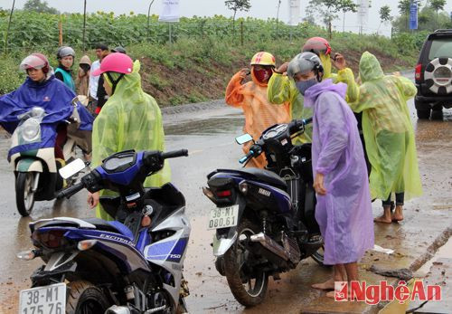 Nhiều người dân ở các huyện lân cận mặc áo mưa tiện lợi đến với cánh đồng hoa mặt trời.