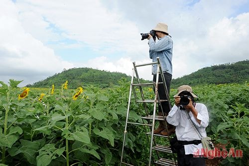 Chụp ảnh mọi góc độ!