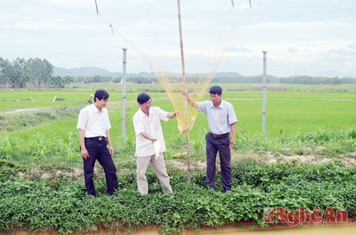 Ông Nguyễn Văn Hán, xóm 10, Tân Sơn, Đô Lương (đứng giữa) giới thiệu về hiệu quả nuôi cá trong gia trại.