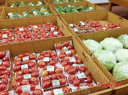 Rau sản xuất theo quy trình ứng dụng công nghệ cao có mức giá cao hơn rau sản xuất bình thường từ 300- 400% nhưng vẫn được người tiêu dùng ở các thành phố lớn nhiệt tình đón nhận