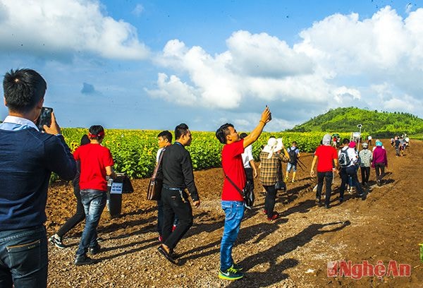 Dòng người đổ về cánh đồng hoa hướng dương đông hơn vào dịp cuối tuần.