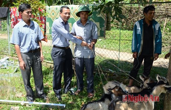 Lãnh đạo Sở GTVT tặng dê giống cho người nghèo xã Keng Đu, huyện Kỳ Sơn