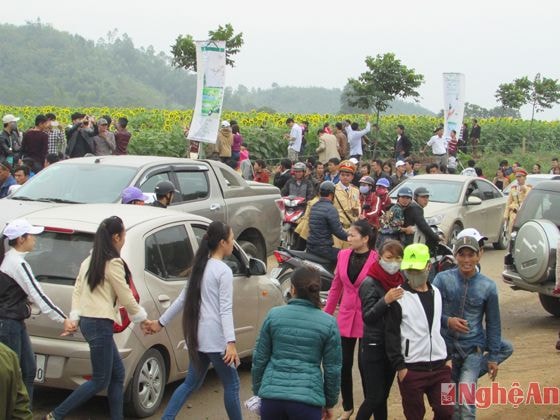 Lực lượng công an huyện Nghĩa Đàn đang có mặt trên đường Hồ Chí Minh và trên cánh đồng hoa để giữ gìn trật tự. Dù lượng khách đổ về rất đông nhưng đến thời điểm này chưa có tình trạng 