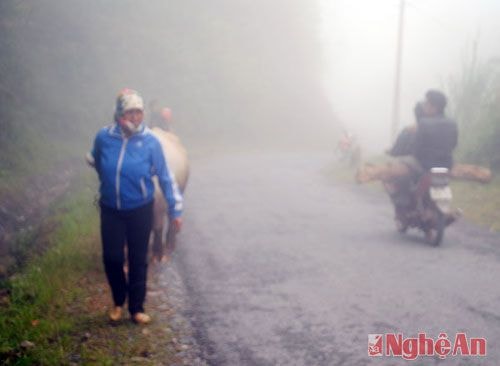 Trong cảnh sương giá, công việc của những người phụ nữ Mông trở nên vất vả hơn.