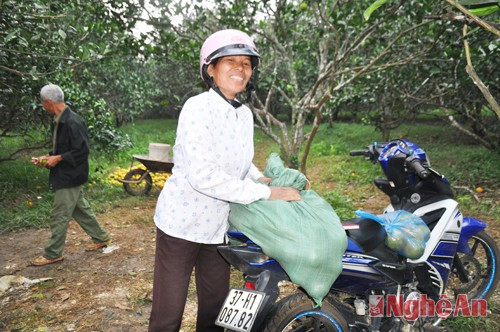 Bên cạnh bán sỷ, rất nhiều người dân cũng tìm đến vườn cam để mua làm quà. Chị Trương Thị Luyến (xã Hạ Sơn) cho biết: Năm nào đến mùa cam chị cũng phải dăm bảy lần vào trang trại tìm mua những quả cam ưng ý nhất để gửi làm quà cho các con.