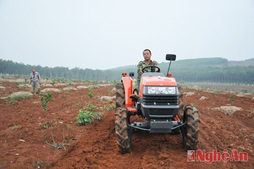  Nhận thấy cây cam ngày càng có hiệu quả kinh tế cao, thu nhập ổn định, anh Lương Khánh Chung (xóm 17, Minh Hợp) đã quyết định chuyển từ trồng keo sang trồng cam. Trên diện tích 3h, anh Chung đã trồng toàn bộ giống cam Xã Đoài, Vân Du  và quýt BQ.