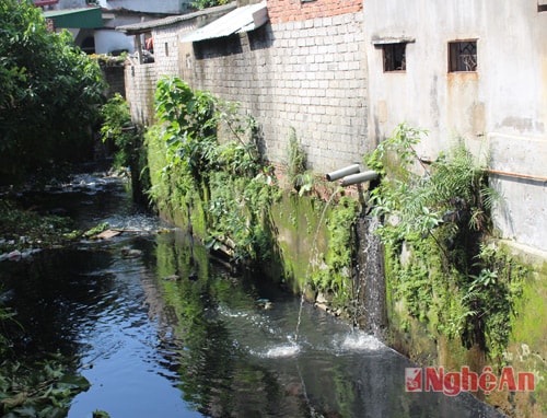 Xung quanh hào thành là hàng trăm hộ dân sinh sống. Và hàng chục năm nay, nước thải sinh hoạt xả xuống thẳng lòng hào.