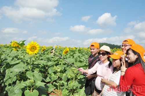  Dịp khảo sát điểm đến của Nghệ An lần này cũng là cơ hội để các đoàn lữ hành trong tỉnh khám phá vẻ đẹp của miền Tây xứ Nghệ.