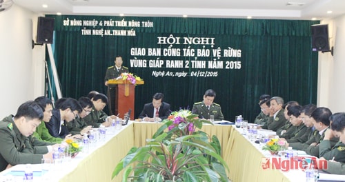 các đại biểu tham gia hội nghị