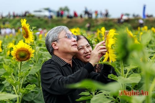 Hoà chung với những người trẻ, các cụ trung niên cũng tranh thủ ghi lại những khoảnh khắc hạnh phúc bên hoa.