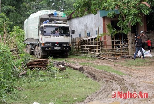 Hầu hết đã tìm cho mình một nơi ẩn nấp kín đáo.