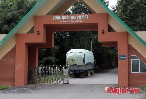 Trong vườn Quốc gia Pù Mát.