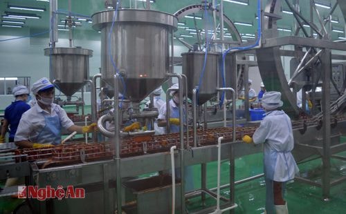 Dâu chuyền sản xuất ở Nhà máy Roayl Foods.