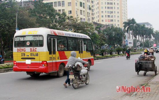 Công ty TNHH TM&XD Đông Bắc đã đình chỉ hoạt động của hàng trăm lái xe khi có kết quả từ dữ liệu TBGSHT.