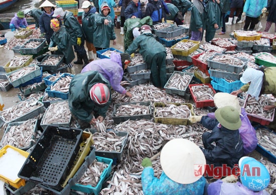 Cảnh mua bán tấp nập trên bến cá Quỳnh Phương Cảnh mua bán tấp nập trên bến cá Quỳnh Phương