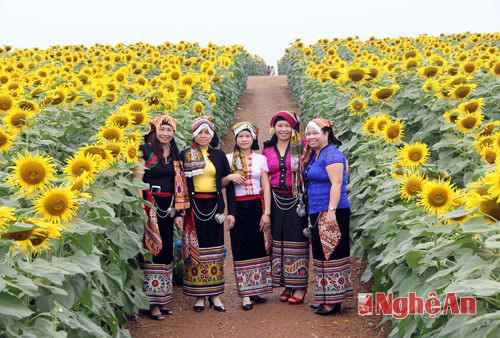 Về với cánh đồng hoa, có sự góp mặt của những người phụ nữ Thái.