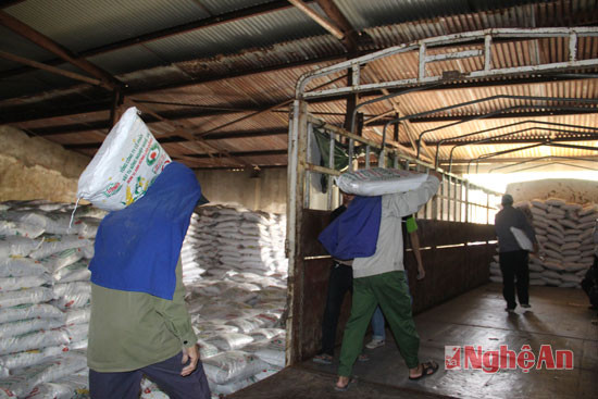 Công nhân của Công ty CP vật tư nông nghiệp Nghệ An bốc xếp phân bón vận chuyển về cho các địa phương.