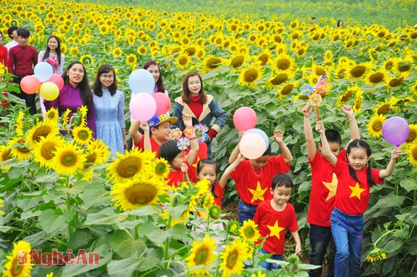 Các em hào hứng dạo chơi giữa cánh đồng hoa.