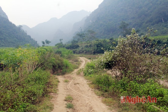 Tuyến đường giao thông vào khu tái định cư được đầu tư hơn 2 tỷ đồng để đổ cấp phối nhưng đến nay không khác gì lối mòn.