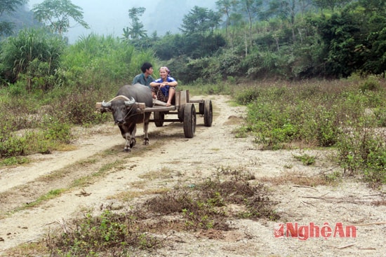 Hiện gia đình anh đang ở nhờ nhà của bố mẹ, cách lán trại gần 10km. Do đường đi lại xa nên ảnh hưởng đến hoạt động sản xuất của gia đình anh.