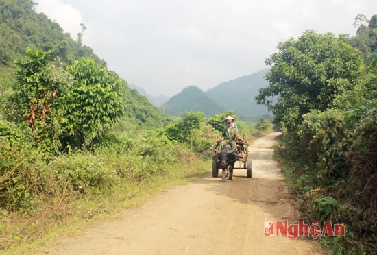 Đường vào dự án định canh, định cư vùng Thung Chanh