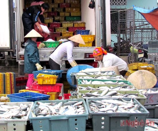 Xuất khẩu thủy sản