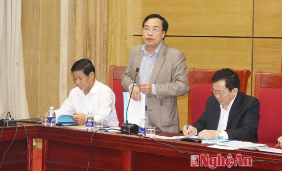 Đồng chí Vi Lưu Bình, Phó GĐ Sở NN và PTNT báo cáo tình hình xây dựn NTM  5 năm qua