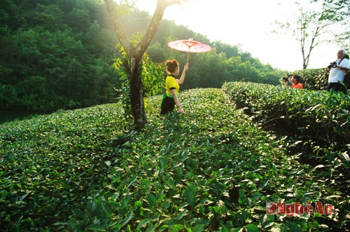 Tải xuống