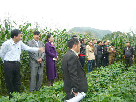 Các đại biểu tham quan 