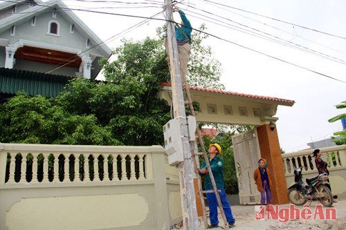 Thợ điện xóm Phú Vinh, Đô Thành kiểm tra lưới điện