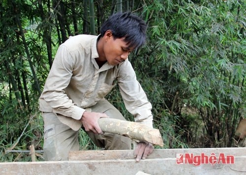 Nhiều người tứ trước đến nay chỉ quen dựng nhà sàn, làm rẫy tuy vậy vẫn tỏ ra thành thạo đối với mỗi phần việc được giao
