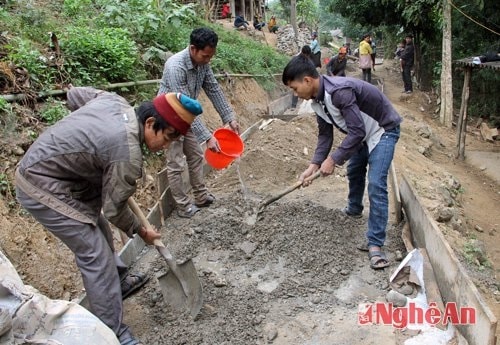 Trưởng bản