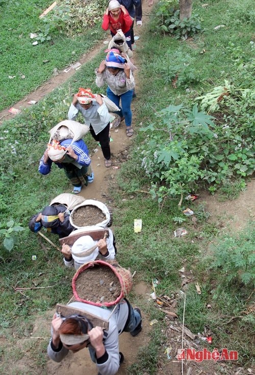 Một hình ảnh đẹp về lao động
