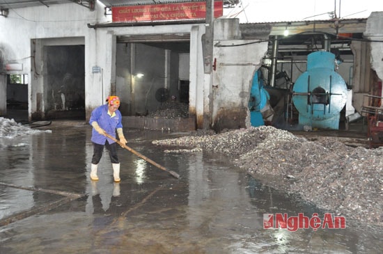 Nước rỉ từ các sản phẩm cá không được xử lý gây nhiễm môi trường nghiêm trọng.