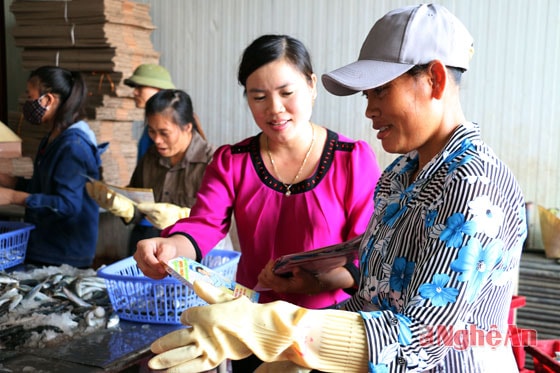 Tuyên truyền về công tác dân số cho người dân vùng biển thị xã Cửa Lò