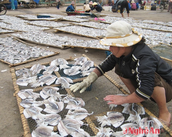 Khai thác, chhế biến và dịch vụ về hải sản -một trong những thế mạnh của huyện Diễn Châu