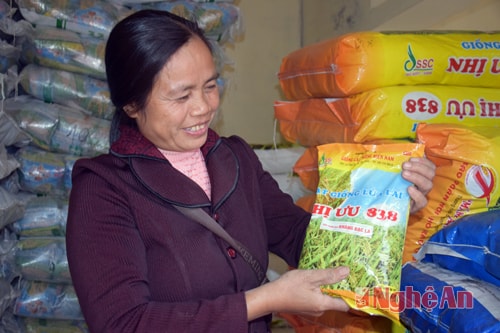 Bà con nông dân lựa chọn giống lúa tại kho của Trạm BVTV huyện.